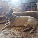 ���� �����, �����, 57 ��� - ��������� 10 ������ 2020 � ������ ���� ����������