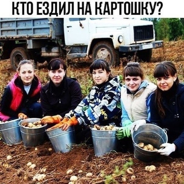 Cec  ypac a o... e  
