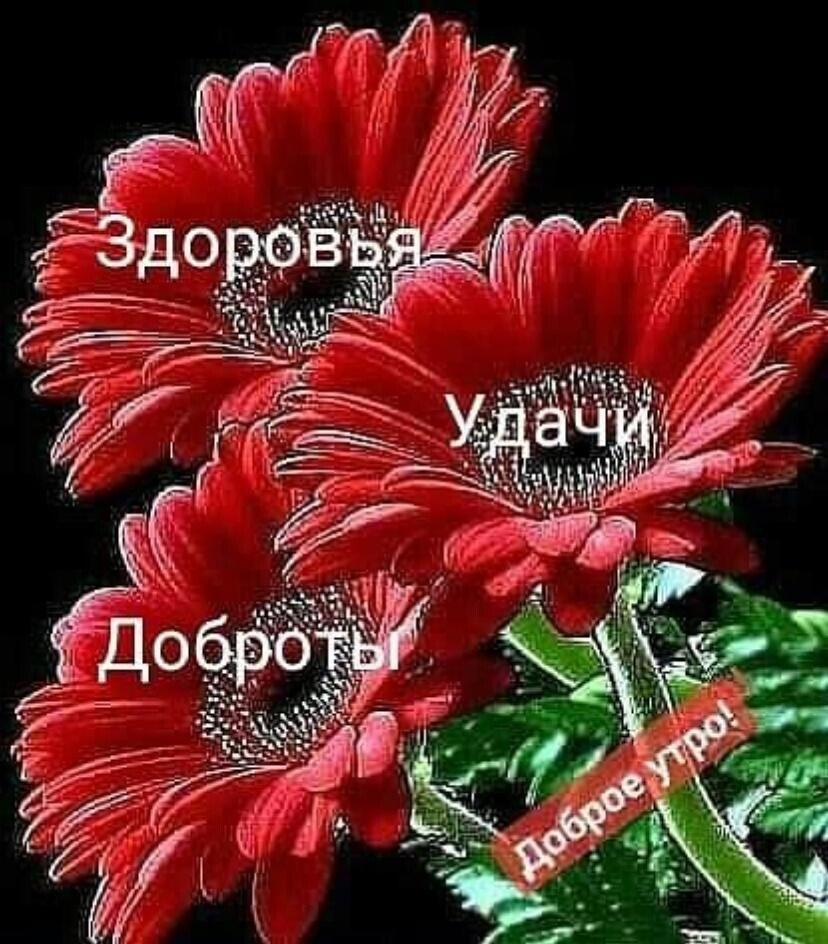  - .  - .   -  .    , ...