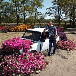 �����, ����������� ����, 37 ���