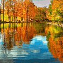 ���� ������, ������, 61 ��� - ��������� 28 ���� 2020 � ������ ���� ����������