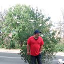 ���� New Dimon, �������, 37 ��� - ��������� 3 ��� 2020 � ������ ���� ����������