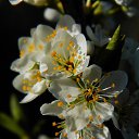 ���� �������, ������, 48 ��� - ��������� 9 ��� 2020 � ������ ������ ��������