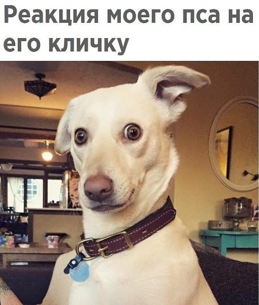 ������� - 1 ������ 2020 � 18:57