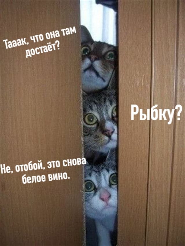       - 26  2020  19:30