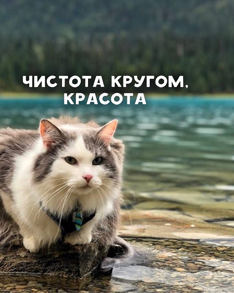     - 6