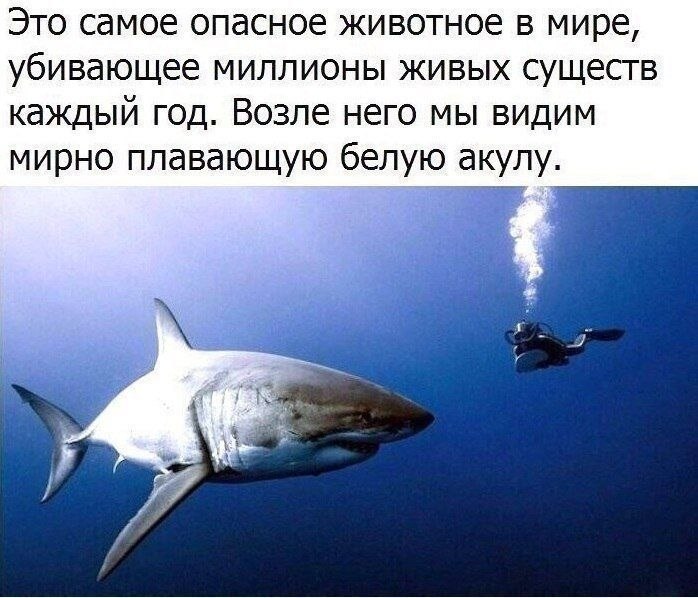  .  ...