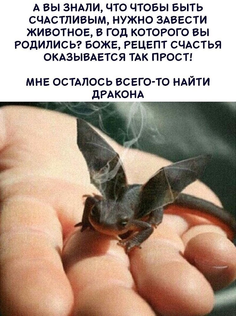   ,    ?