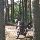 ���� ����, ������, 40 ��� - ��������� 1 ���� 2020 � ������ ���� ����������