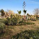 ���� �������, ����� - ��������� 7 ������� 2020 � ������ �������-��������