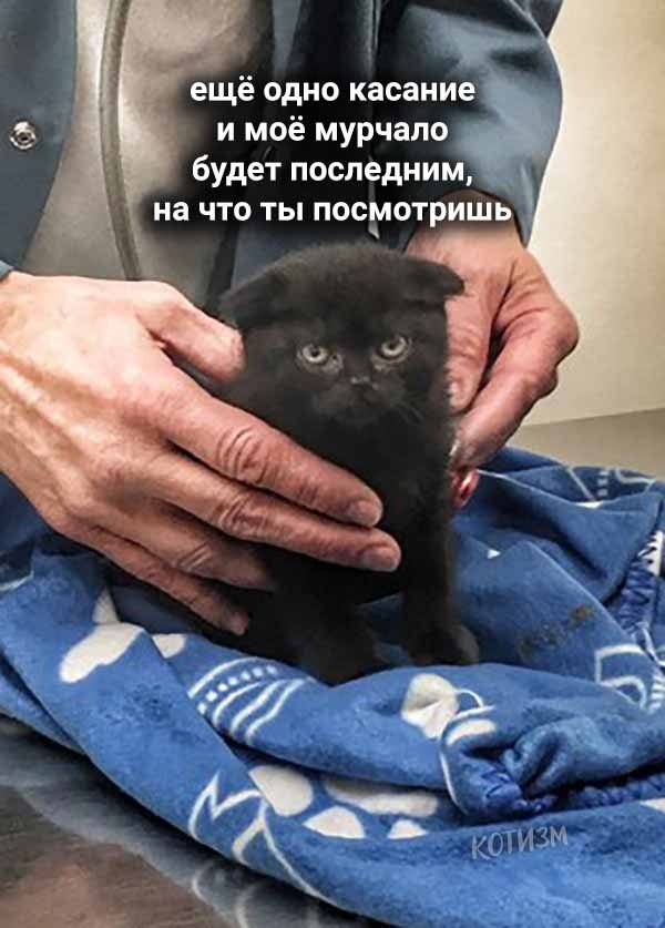     - 2