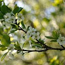 ���� ������, �������������-���������� - ��������� 1 ���� 2020 � ������ ����� ��� � ��� ���� ������...�