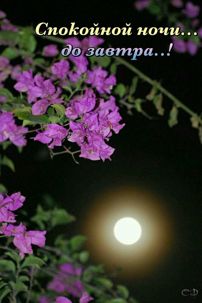   ,    . - 26  2020  21:24