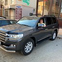���� �������, ����������, 43 ���� - ��������� 8 ���� 2020 � ������ ���� ����������