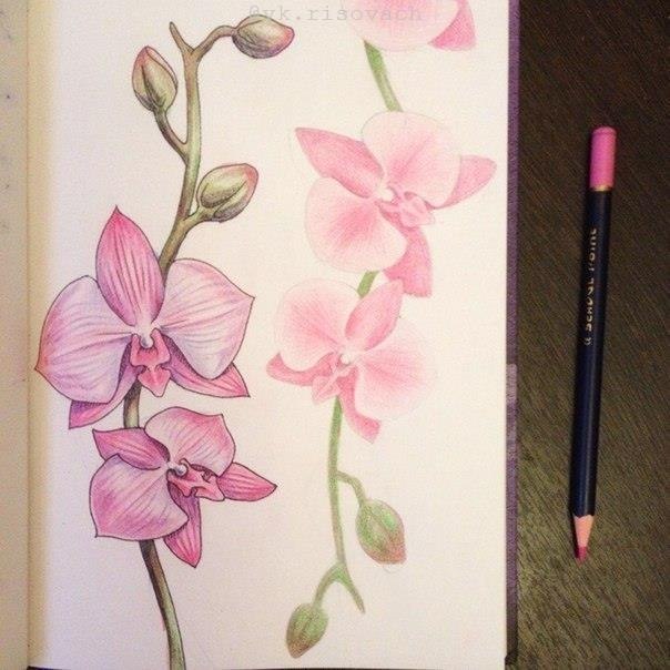 Op���e�. - 6