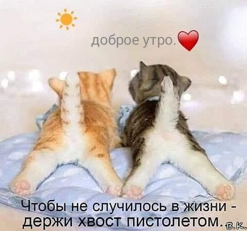  - 12  2020  06:56