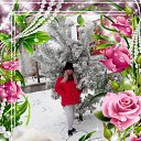 ���� ����, �������� - ��������� 12 ������ 2020 � ������ ���� ����������