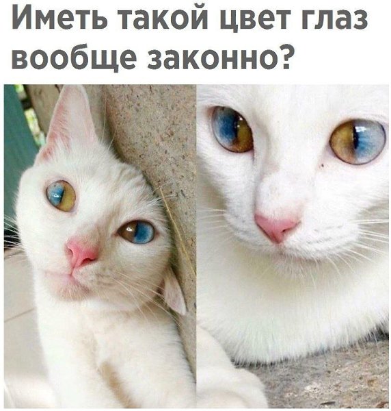 ������� - 6 ����� 2020 � 18:52