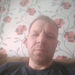 �����, ���, 46 ���