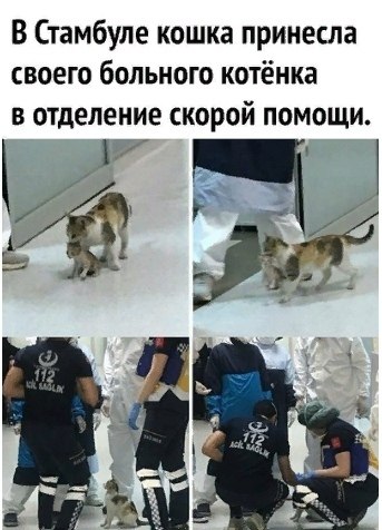       !