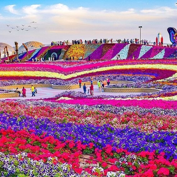    Miracle Garden,  - 6