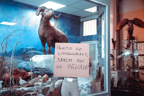 -   ,   -       ... - 6