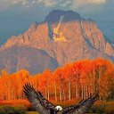 ���� �������, ���������, 67 ��� - ��������� 11 ����� 2020 � ������ ������ ��������