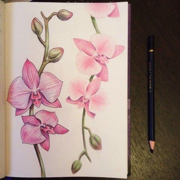 Op���e�. - 7