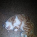 ���� �����, �����, 57 ��� - ��������� 23 ����� 2020 � ������ ���� ����������