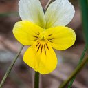  ,  -  2  2020     2020