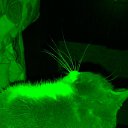 ���� ����, �����-���������, 39 ��� - ��������� 14 ������ 2020 � ������ ���� ����������