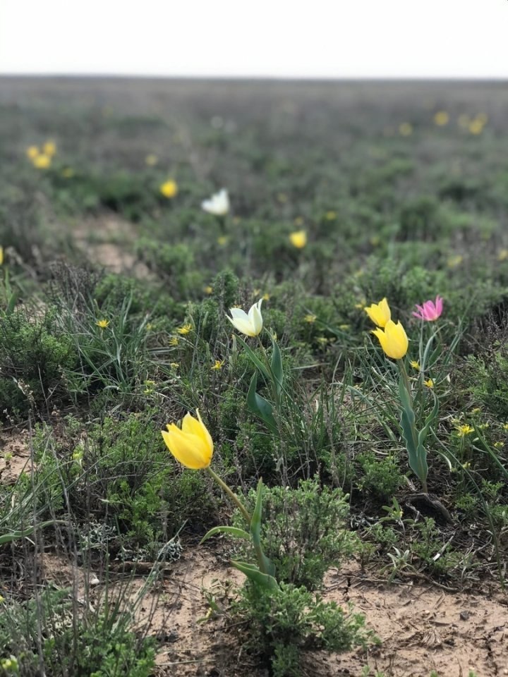 B Oce (Oea oa)  ae e e ( cee) a: poco peae  ce, ... - 2