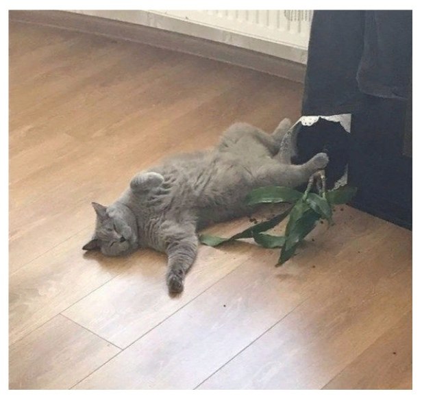      ,    ,   