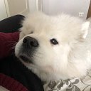 ���� �����, �����-���������, 50 ��� - ��������� 22 ��� 2020 � ������ ���� ����������