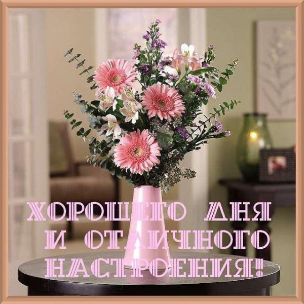 �������, ��������� ����, ������� ������! ����� �������� ��� ���� ����� � �������, ����� ������� ...