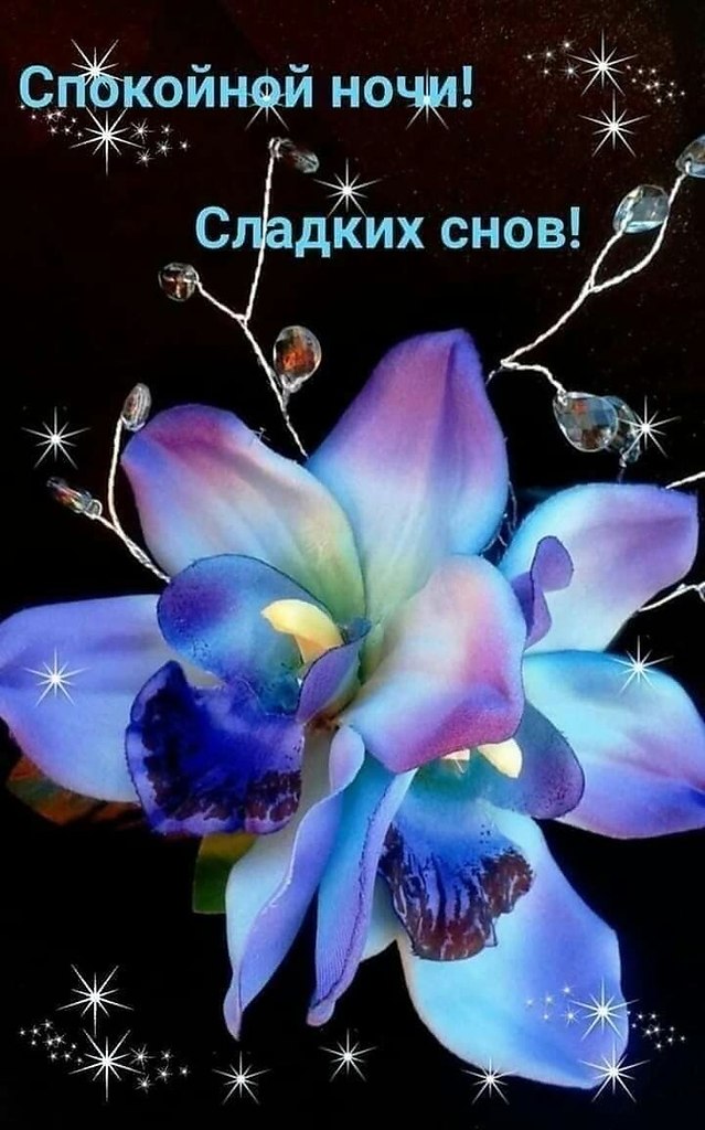   ,    . - 18  2020  22:04 - 2