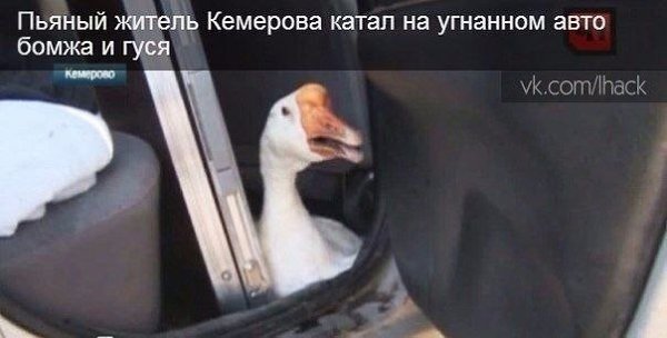 �������, ������� ����� ���� �������