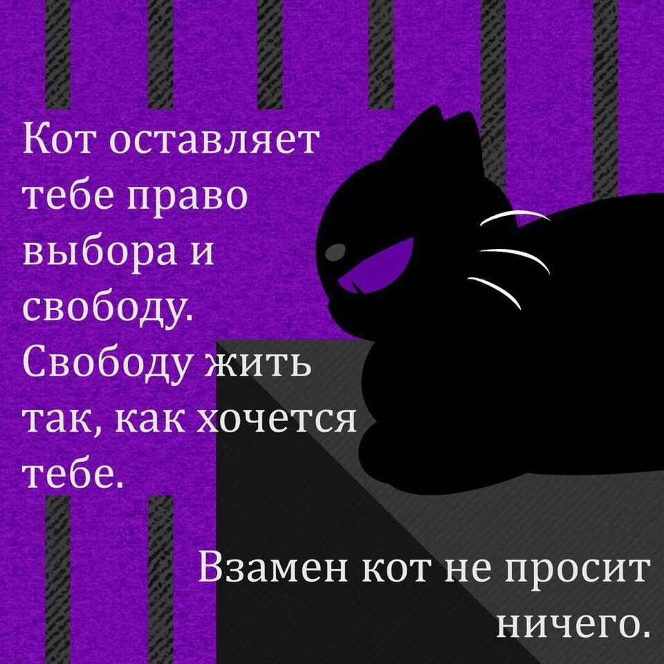 E s t h e t i q u e - 8  2020  18:54 - 7
