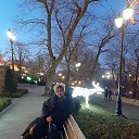 ���� ���������, ������, 43 ���� - ��������� 7 ������ 2020 � ������ ���� ����������