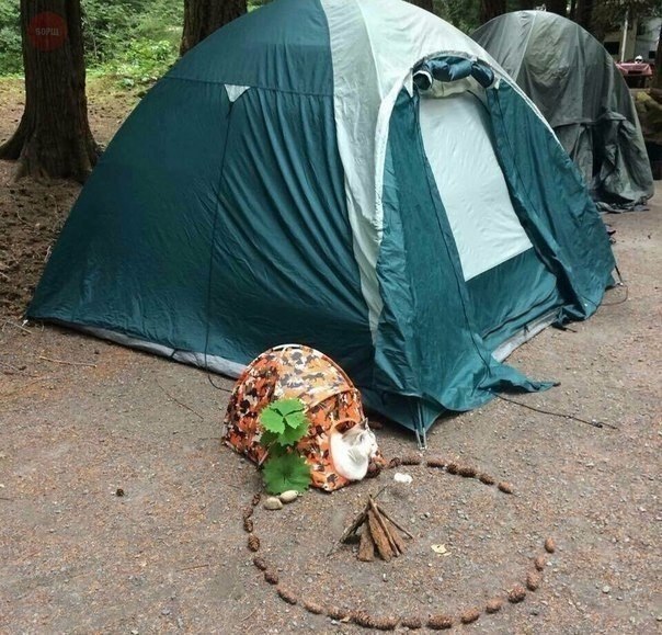 � ����� � �������