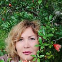 ���� ����@, ���� - ��������� 23 ���� 2020 � ������ ���� ����������