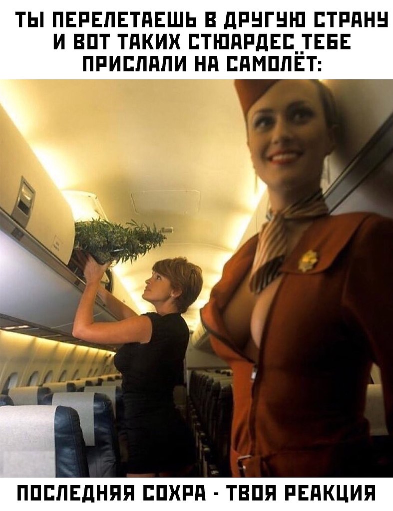    :D - 17  2020  18:46