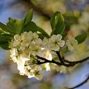 ���� ������, �������������-���������� - ��������� 1 ���� 2020 � ������ ����� ��� � ��� ���� ������...�