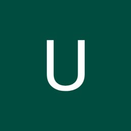 User, ������, 41 ���