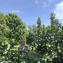 ���� ����, ���, 71 ��� - ��������� 8 ���� 2020 � ������ ���� ����������
