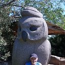  Gena, - -  31  2020    