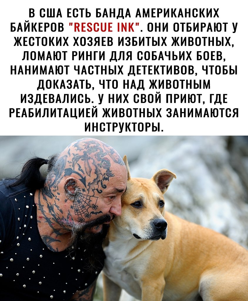 ..   