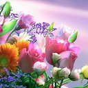 ���� ������, ���������, 56 ��� - ��������� 23 ���� 2020 � ������ ���� ����������