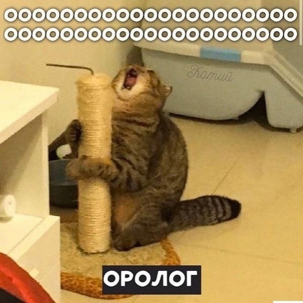 e oo  opoo. - 6