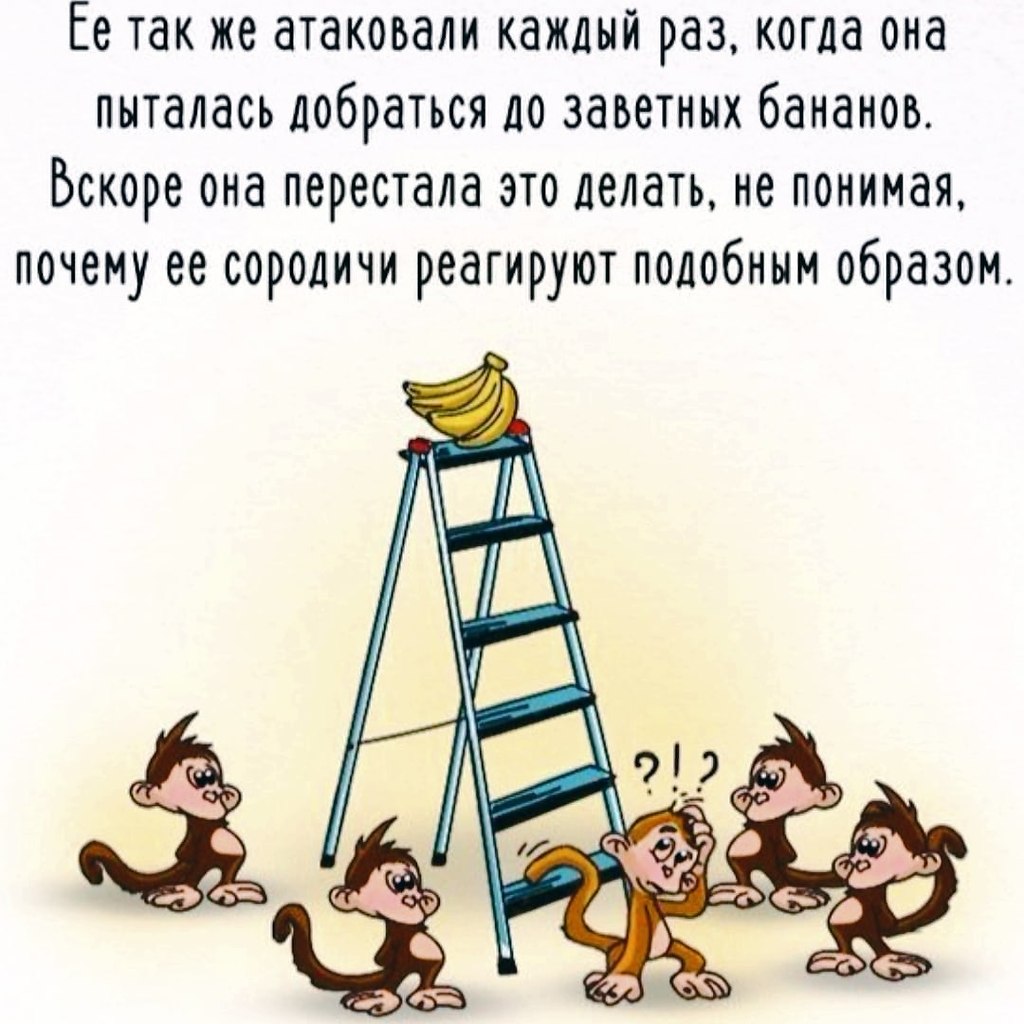   ,    .  ,   , ,  ... - 6